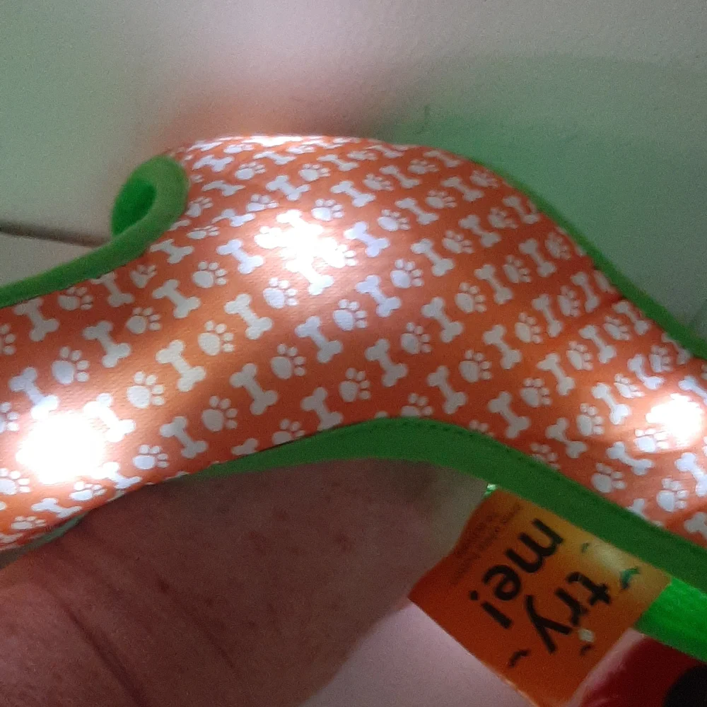 dog e glow light up